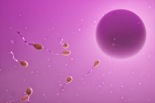 Sperm kadın vücuduna nasıl girer?