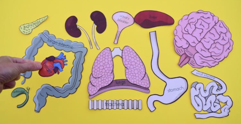 Son dönemde çocuklarda birlikte görülen belirtiler ne anlatıyor?